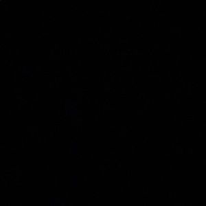 Meet your Posher, Jesus